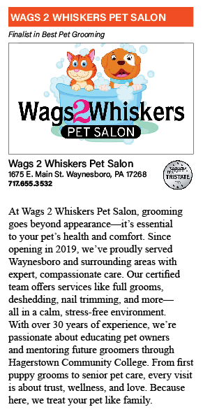 WAGS2WHISKERS-SPOTLIGHT